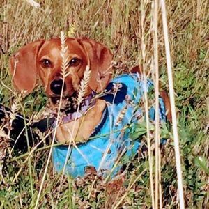 Meet your Posher, Dina